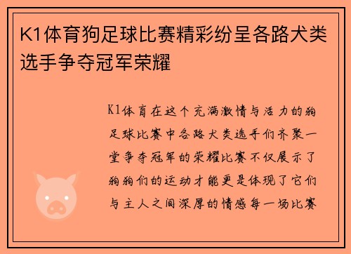 K1体育狗足球比赛精彩纷呈各路犬类选手争夺冠军荣耀