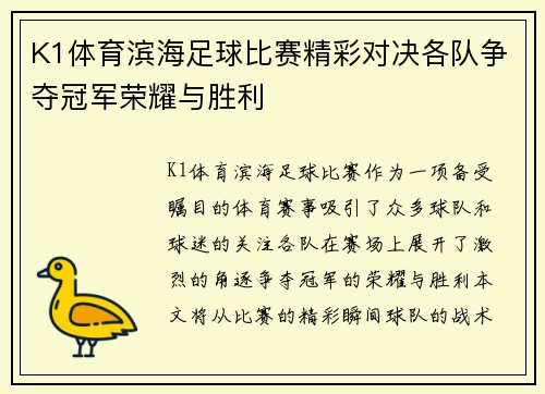 K1体育滨海足球比赛精彩对决各队争夺冠军荣耀与胜利